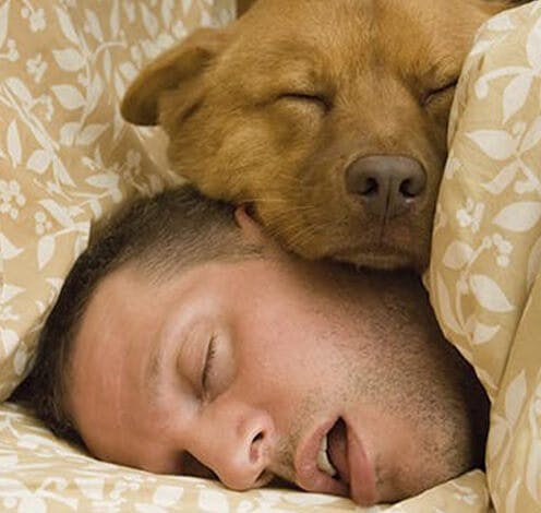 Man sleeping in a bed with a dog next to his face