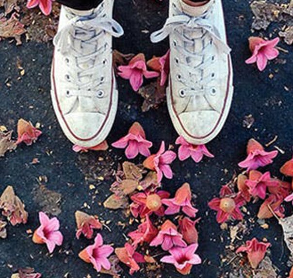 Feet on the ground among fallen leaves and flowers
