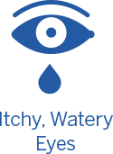 Itchy, Watery Eyes Icon