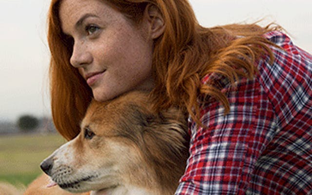 Girl cuddling her dog outside in a meadow, free from allergy symptoms