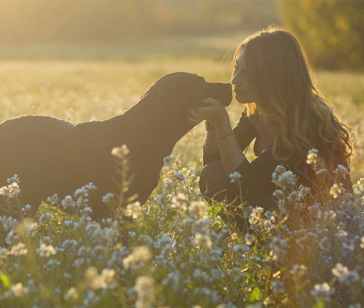 Woman sitting in meadow petting her dog 
