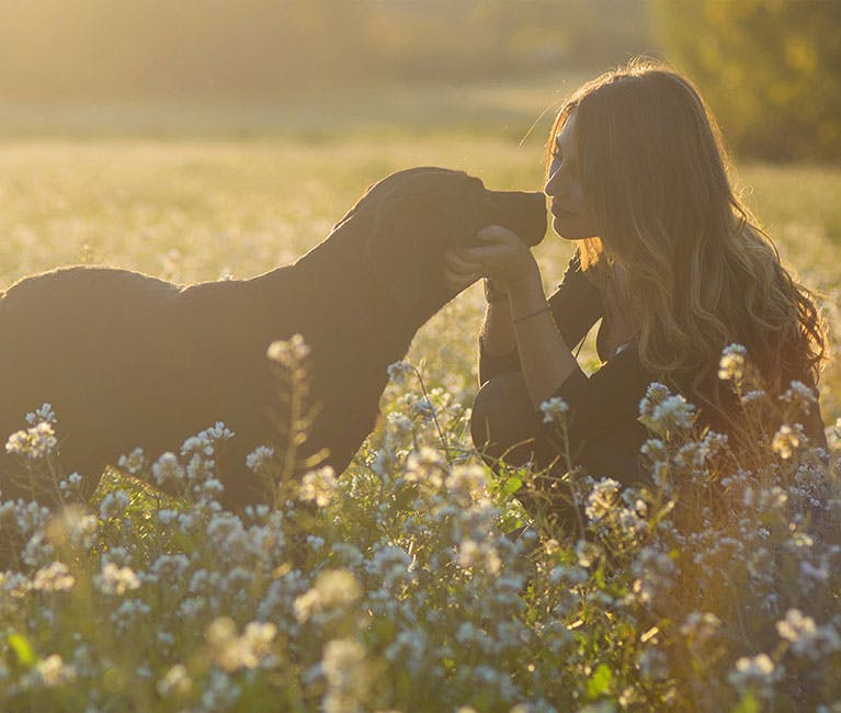 Woman sitting in meadow petting her dog