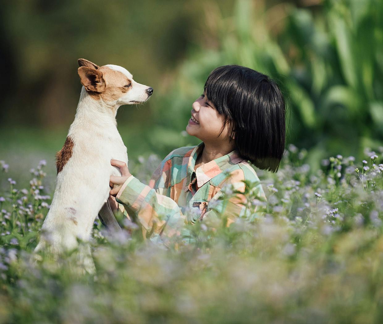 꽃밭에서 아이와 개가 눈높이를 맞춰 서로를 바라보고 있음