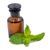 Little glass bottle and leaves of alternative medicine