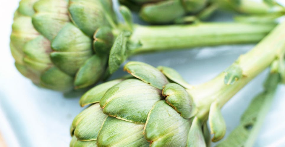 Artichokes Artichokes