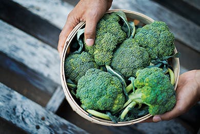 Top 10 High-Fiber Foods to Help Your Digestive Health Top 10 High-Fiber Foods To Help Your Digestive Health