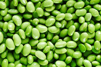 Edamame Beans Edamame Beans