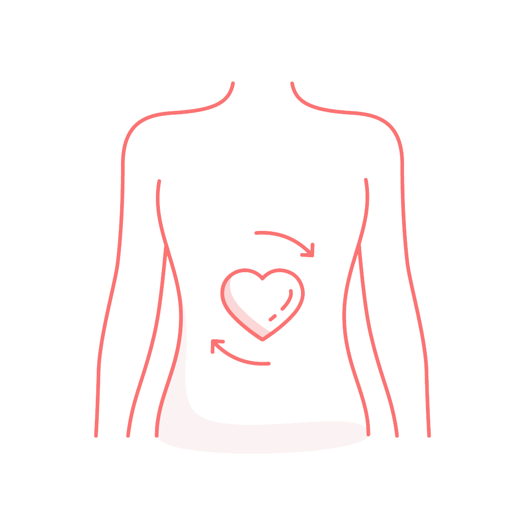 Illustration of a properly balanced digestive tract 