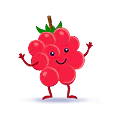 Dye-Free Berry Icon