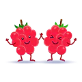 Dye-Free Very Berry Icon