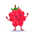 Dye-Free Berry Icon