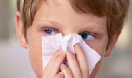 Your Child's Fever