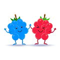 Icône de framboise bleue sans colorant