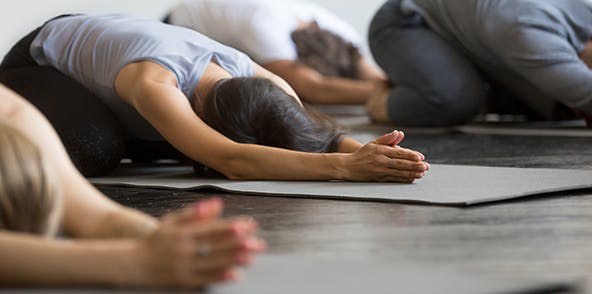 Group of people practicing yoga 