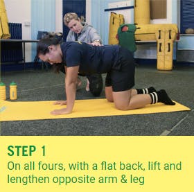 the-bird-dog-exercise-step-1 the-bird-dog-exercise-step-1