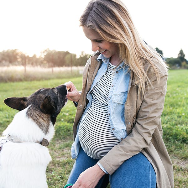 Pregnant woman giving her dog a snack outside 