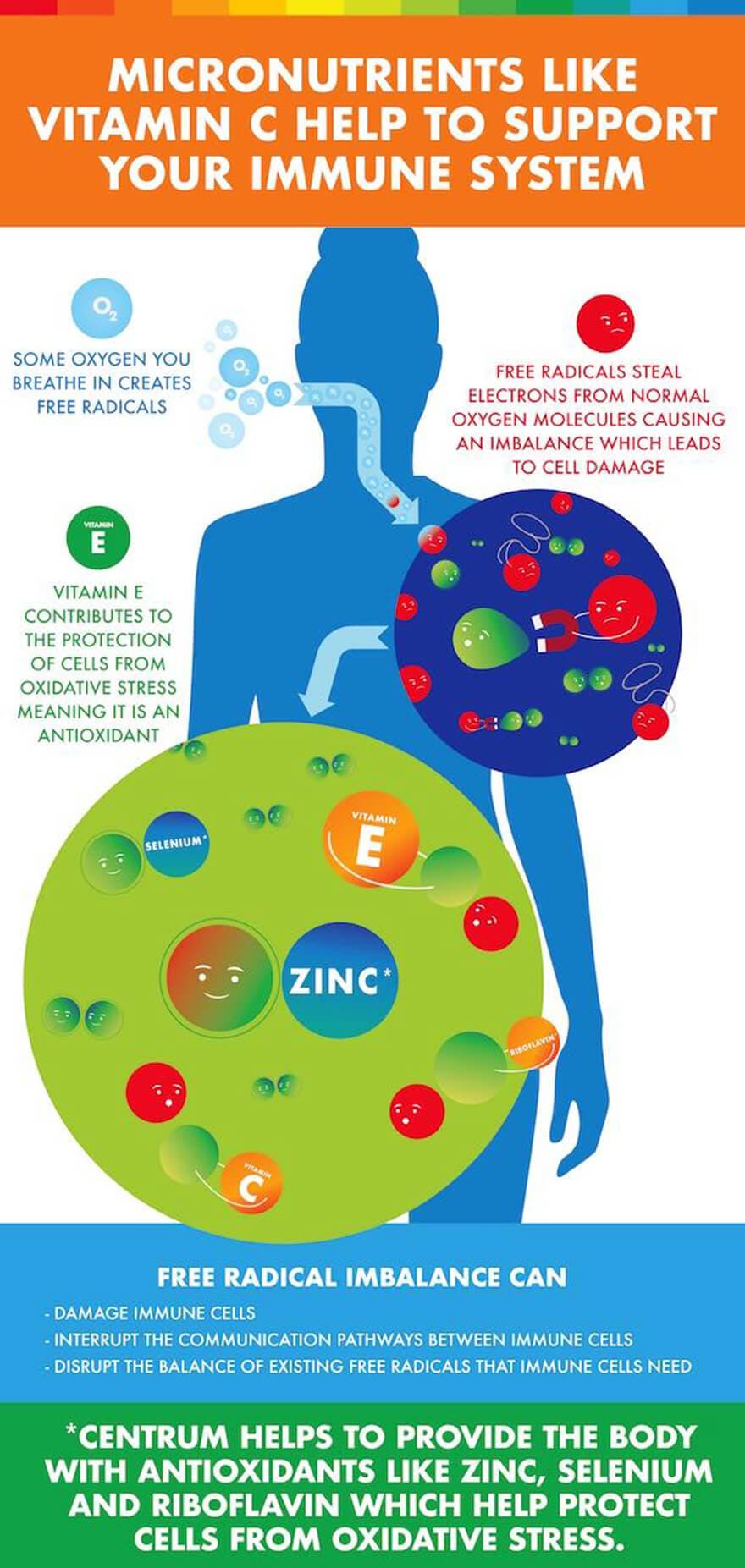 centrum_immunity_infographic_3_0