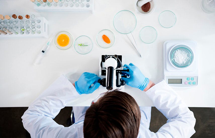 overhead view of a person adjusting a microsope on a lab bench