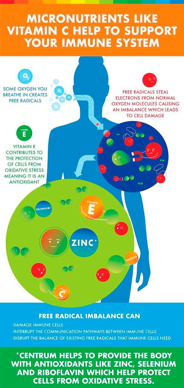 Infographic about immune system.