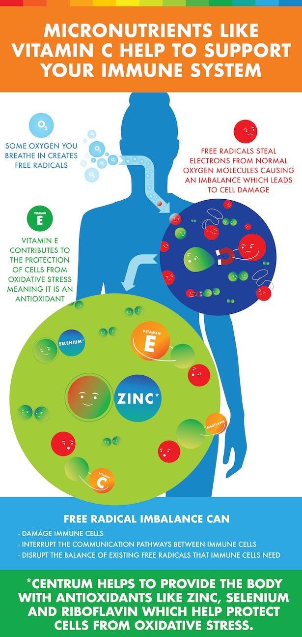 Infographic about immune system.