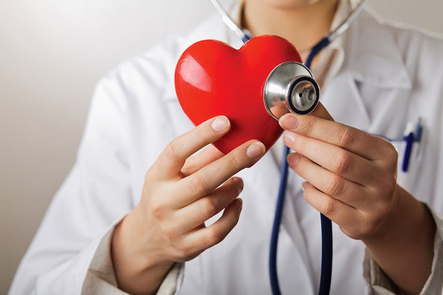 Heart and brain health and doctor holding a heart thumbnail