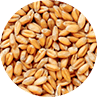 Grains