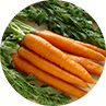 Health advice eat carrots