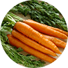 Health advice eat carrots Health advice eat carrots
