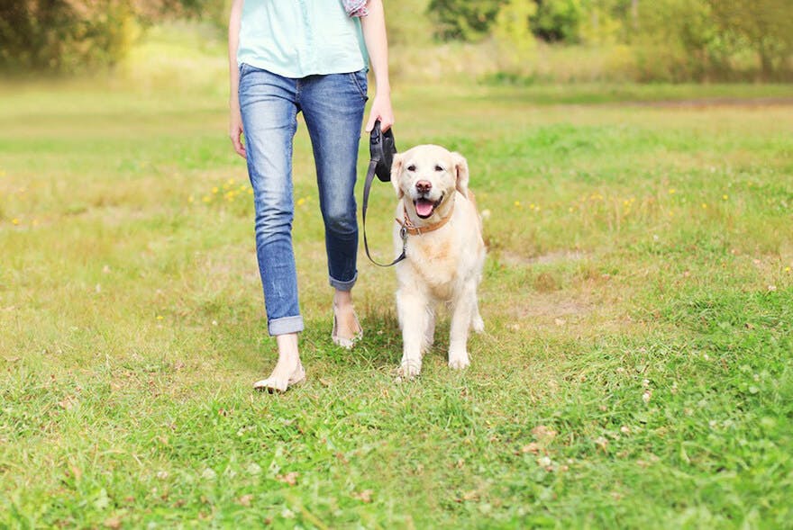 summer-walk