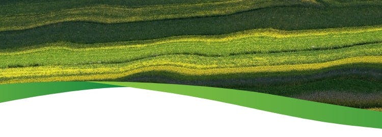 Green wave