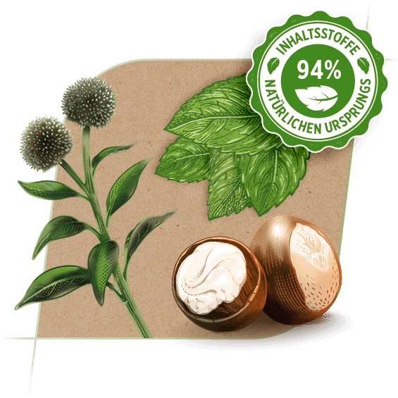 FeniNatural – Natürliche Pflege FeniNatural – Natürliche Pflege