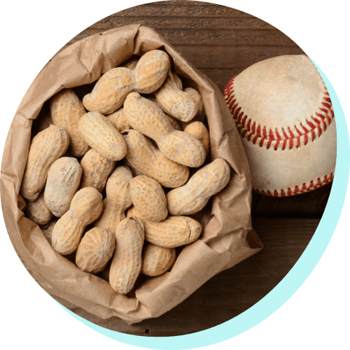 a brown bag of peanuts with a baseball next to it