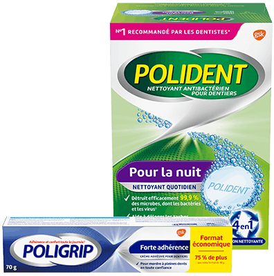 Polident Poligrip French Polident Poligrip French