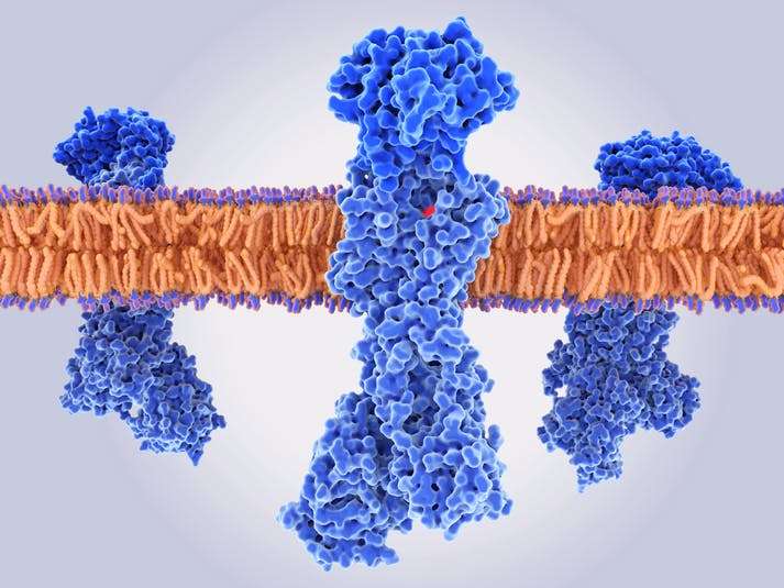 Photo of gastric proton pump inhibitor