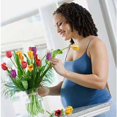 Pregnant woman arranges flowers in a vase