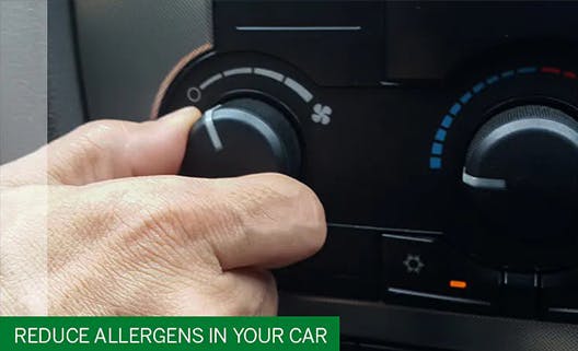 REDUCE ALLERGENS IN YOUR CAR