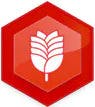 Ragweed_Allergies Ragweed_Allergies