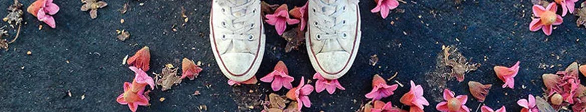 Flowers fallen on road