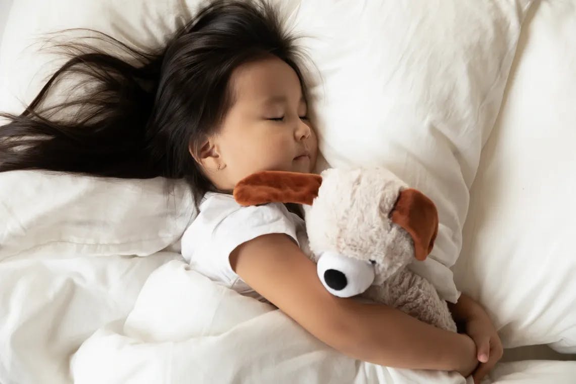 Child with stuffed animal sleeping in bed