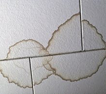 Bathroom tiles with obvious brown mold stains