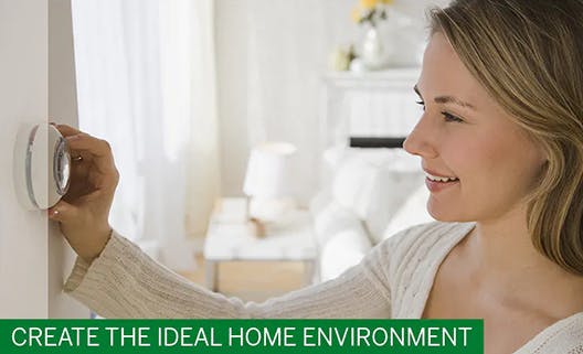 Create the ideal home environment
