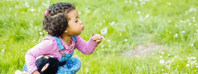 Young toddler girl blowing dandelions outside
