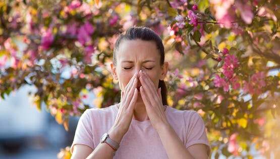 How Long is Spring Allergy Season?