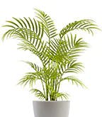 Best_Plants_Worst_5 Best_Plants_Worst_5