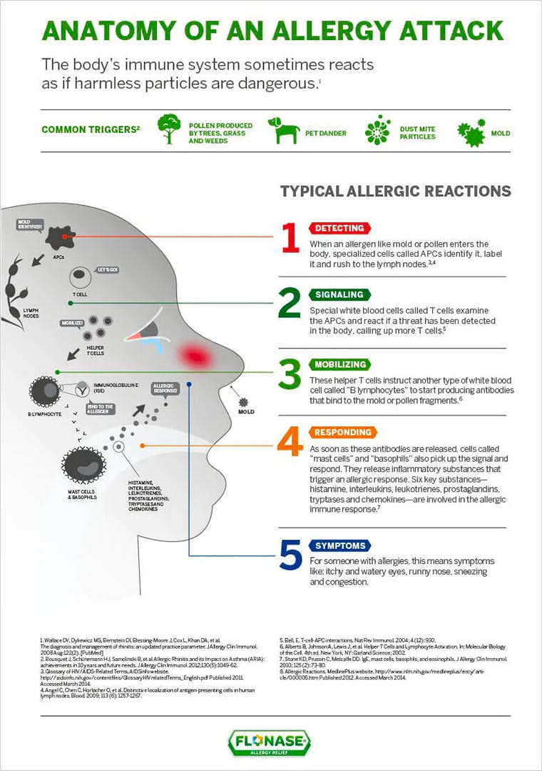 allergic reaction diagram