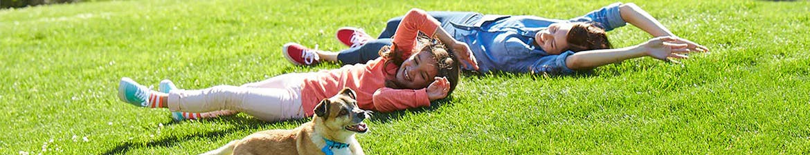 banner-desktop