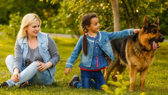 What kind of dog is sales in the flonase sensimist commercial