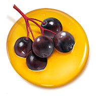 Elderberry on top of a honeydrop