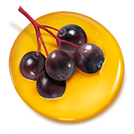 Elderberry on top of a honeydrop Elderberry on top of a honeydrop
