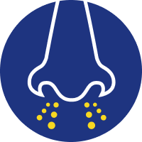 Icon 1